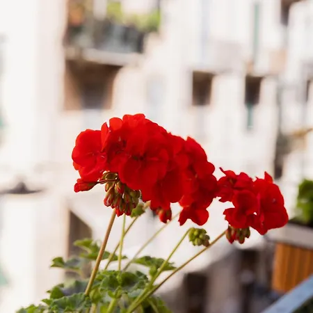 Gasthuis Casa Di Priam La Spezia