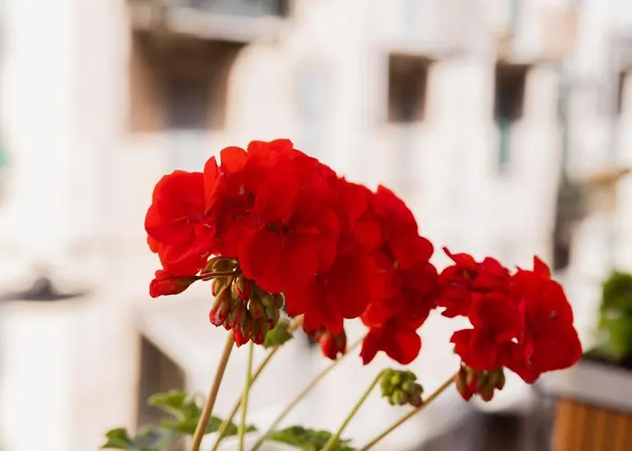 게스트하우스 Casa Di Priam 라스페치아